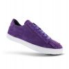 Aconda Purple